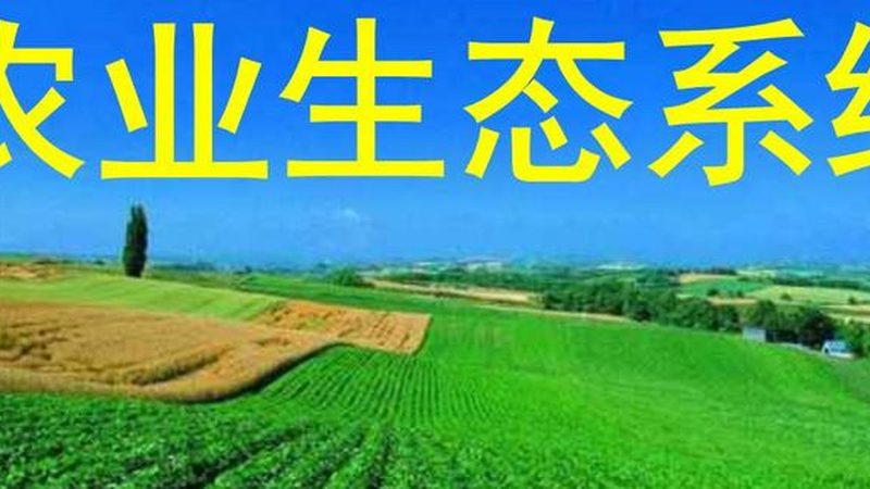 绿色食品认证参数要求揭秘：如何确保食品安全与品质