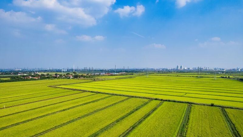 冷库节能改造，如何降低能耗、提升效率？**