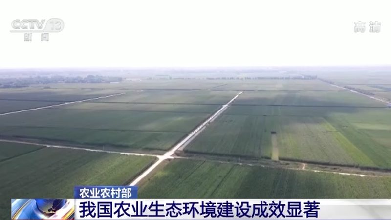 生态农业观光园建设步骤详解：从规划到运营的全程攻略