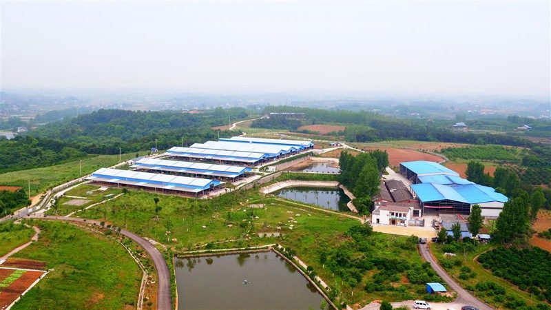 采摘价格背后的休闲农业基地运营逻辑