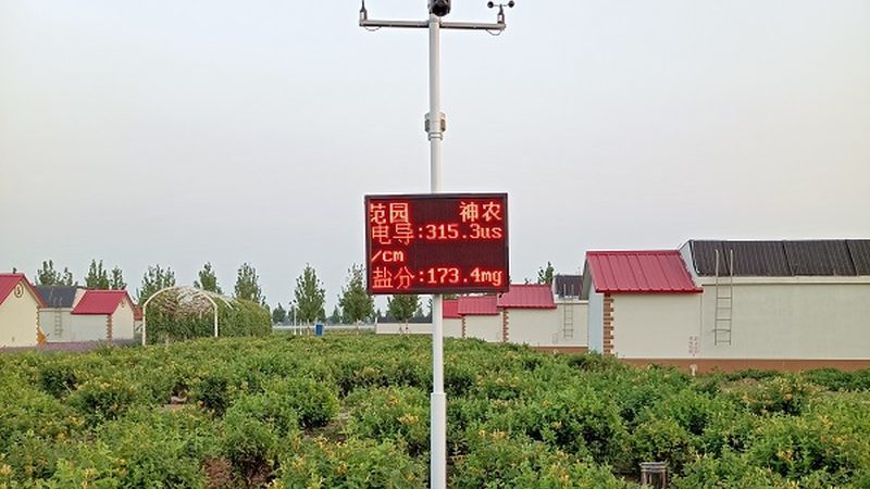 农业项目如何落地：关键步骤与注意事项