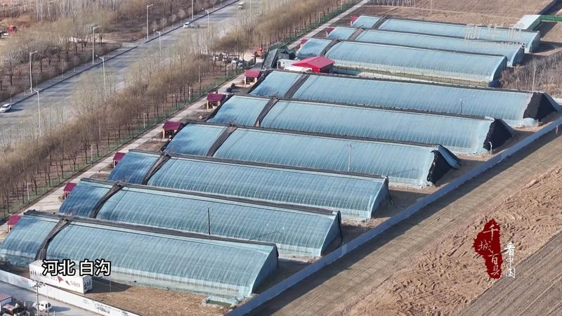 农资批发许可证需要哪些材料